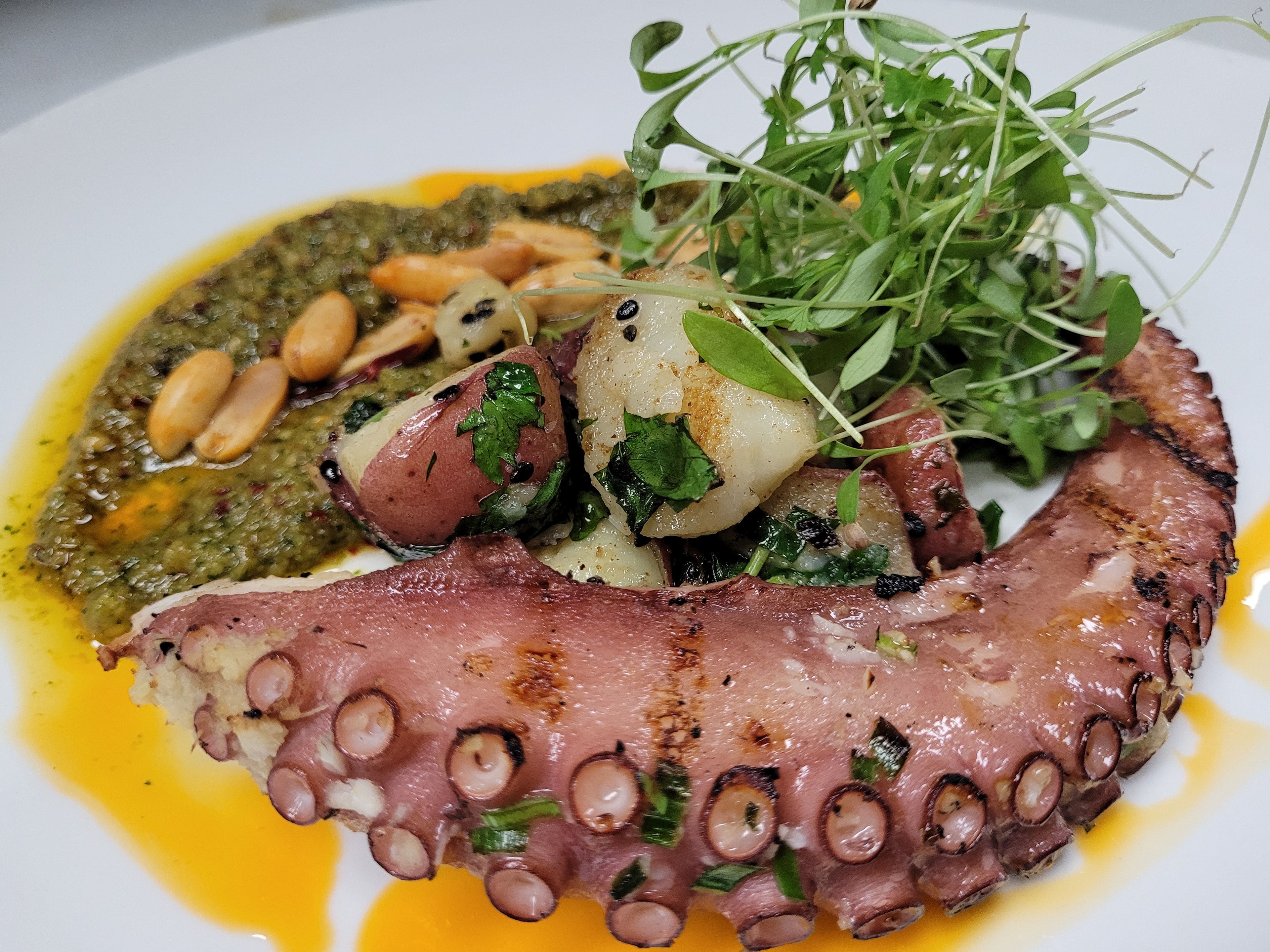 Octopus dish