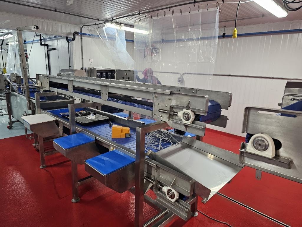 Agri Exotic Trading — conveyor processing line
