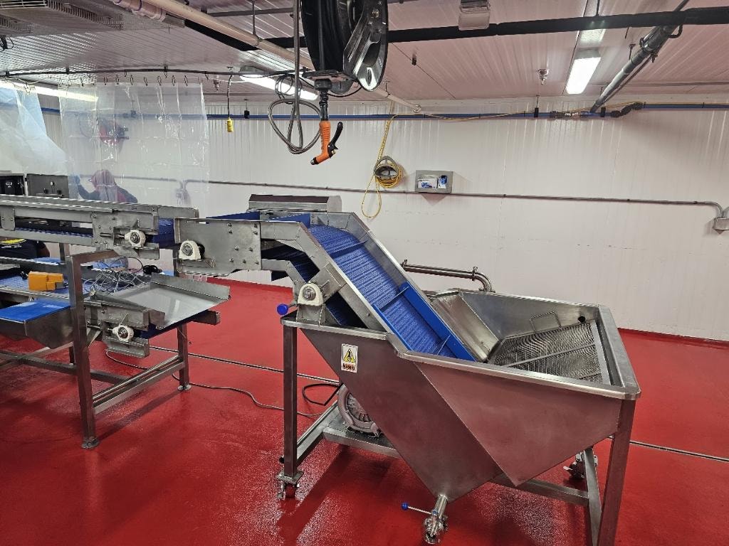 Agri Exotic Trading — wash and sort equipment