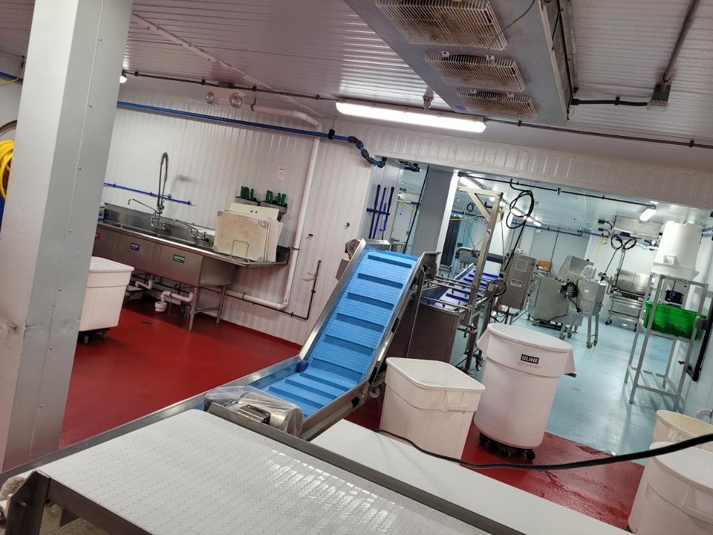 Agri Exotic Trading — processing floor overview